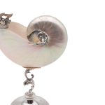 Conchiglia Nautilus Di Taglia Piccola con Base e Dettagli in Argento 925